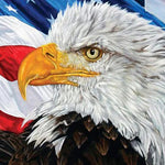 Load image into Gallery viewer, American Eagle Diamond Painting
