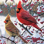 Load image into Gallery viewer, Cardinal Bird Diamond Painting
