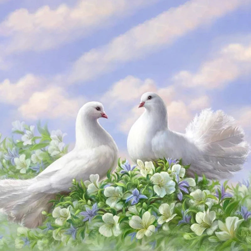 Pigeon Love Diamond Painting