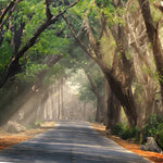 Load image into Gallery viewer, Road Covered With Trees Diamond Painting
