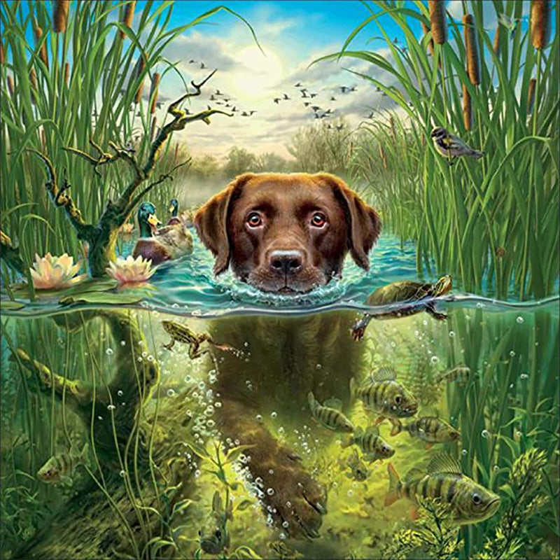 Swimming Dog Diamond Painting