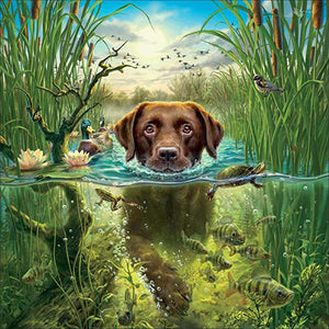 Swimming Dog Diamond Painting