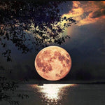 Load image into Gallery viewer, The Full Moon Diamond Painting
