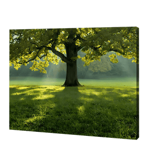 The Big Tree In Summer | Diamond Painting