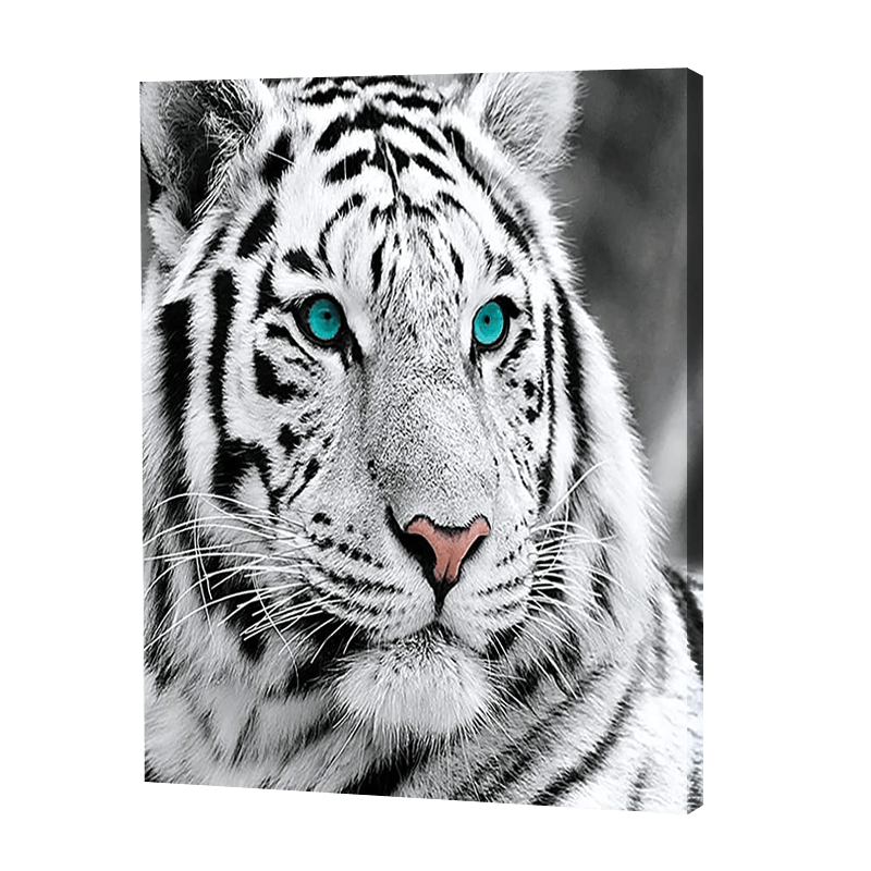 White Tiger | Diamond Painting